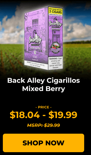 Back Alley Cigarillos Mixed Berry - SHOP NOW