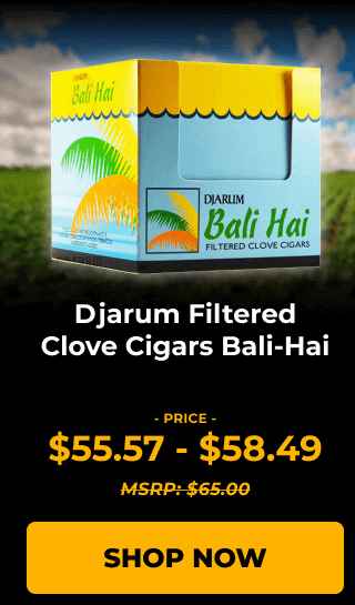 Djarum Filtered Clove Cigars Bali-Hai - SHOP NOW