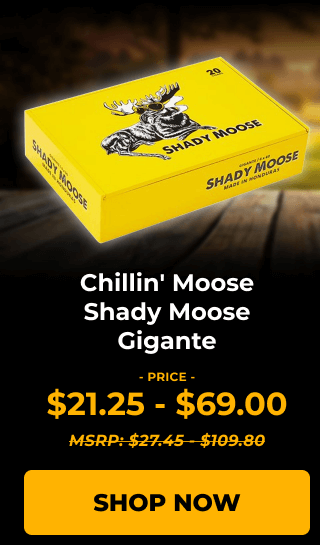 Chillin' Moose Shady Moose Gigante