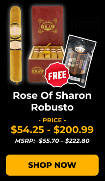 Southern Draw Rose Of Sharon Robusto