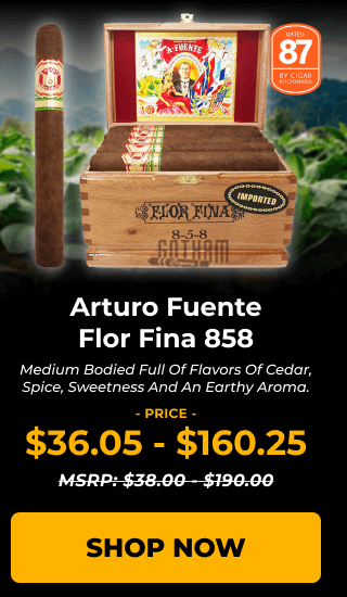 ARTURO FUENTE FLOR FINA 858