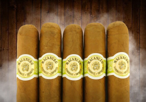 Macanudo Hyde Park  (5-Pack)